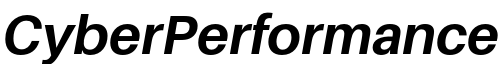 CyberPerformance